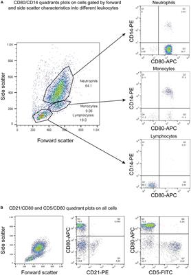 Flow cytometric-based detection of CD80 is a useful diagnostic marker of acute myeloid leukemia in dogs